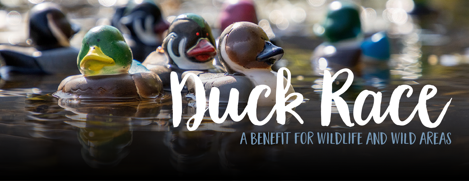 Duck Race