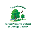 Duck Race - logo
